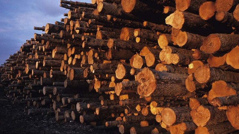 揭秘石塑地板：规格尺寸、厚度与标准的秘密